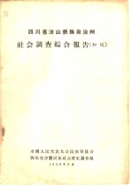 四川省凉山彝族自治州社会调查综合报告  初稿