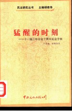 猛醒的时刻  十一届三中全会十周年纪念专集