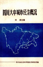 四川省大中城市经济概况  第1集