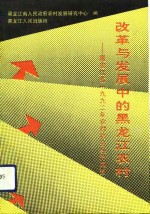 改革与发展中的黑龙江农村  黑龙江省1992年农村社会经济调查