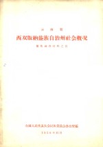 云南省  西双版纳傣族自治州社会概况  傣族调查材料之四