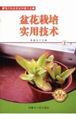 盆花栽培实用技术  2