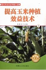 提高玉米种植效益技术  1