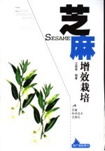 芝麻增效栽培