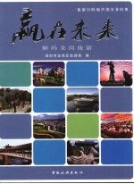 赢在未来  解码龙岗旅游