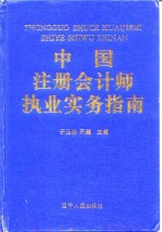 中国注册会计师执业实务指南