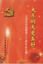 大东区庆祝建党八十周年征文集：大东明天更美好