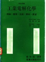 工业电解化学：理论、实务、技术、解析、展望