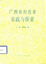 广西农村改革实践与探索