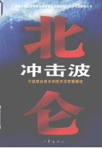 北仑冲击波  宁波职业技术学院示范智慧解读