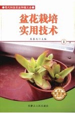 盆花栽培实用技术  1