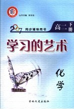 学习的艺术  化学  高二  下