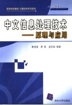 中文信息处理技术  原理与应用