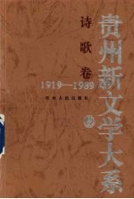 贵州新文学大系  1919-1989  诗歌卷