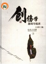 创伤学·基础与临床  下