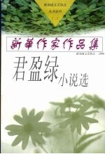 君盈绿小说选