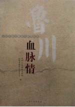 鲁川血脉情  山东支援抗震救灾新闻纪实