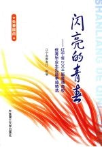 闪亮的青春  辽宁省2008届普通高校优秀毕业生先进事迹精选