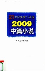 2009中篇小说