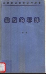 靛蓝的耶稣  王蒙新近欧美访问随笔