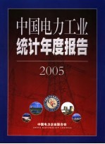 中国电力工业统计年度报告  2005