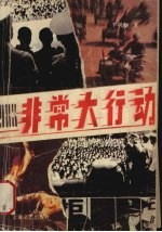 1983-非常大行动