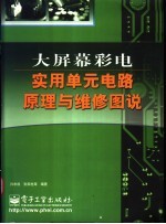 大屏幕彩电实用单元电路原理与维修图说