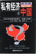 私有经济在中国  私有经济嬗变的现实、困惑与趋势