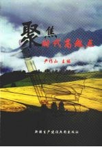 聚集时代高起点  全国部分省市文化（艺术）馆发展战略研讨会第23届年会论文集