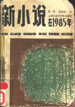 新小说在1985年