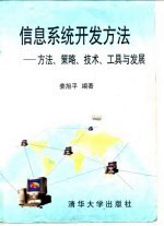 信息系统开发方法  方法、策略、技术、工具与发展