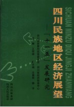 四川民族地区经济展望  “十一五”发展研究