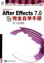 视频特效高手：AFTER EFFECTS 7.0完全自学手册