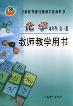 化学  教师教学用书  九年级（全一册）