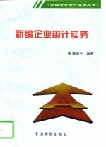 新编企业审计实务