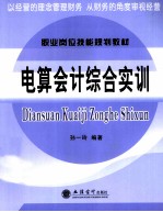 电算会计综合实训