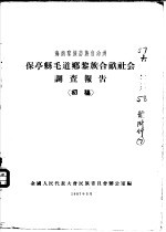 海南黎族苗族自治洲  保亭县毛道乡黎族合亩社会调查报告  初稿