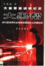 大黑帮  四川宜宾黑社会性质犯罪团伙火并案纪实