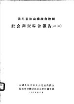 四川省凉山彝族自治州社会调查综合报告  初稿