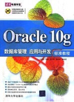 Oracle 10g 数据库管理、应用与开发标准教程