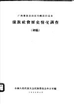 广西壮族自治区天峨县白定乡壮族社会历史情况调查  初稿