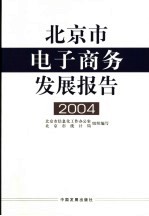 北京市电子商务发展报告  2004