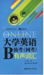 大学英语B统考（网考）有声词汇