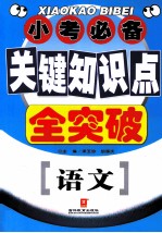 小考必备·关键知识点全突破  语文