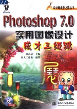 Photoshop 7.0实用图像设计成才三级跳