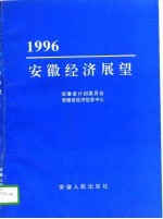 1996年安徽经济展望