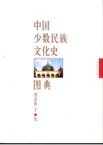 中国少数民族文化史图典  第5卷  西北卷  下