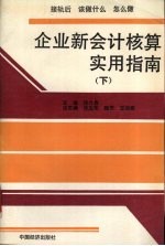 企业新会计核算实用指南  下