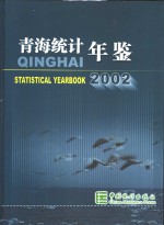 青海统计年鉴  2002  总第18期