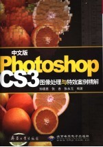 中文版Photoshop CS3图像处理与特效案例精解